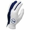 Puma Form Stripe Glove 1 Puma Form Stripe Glove -Golf Gloves Sales puma pro formation golf glove pu041237 02